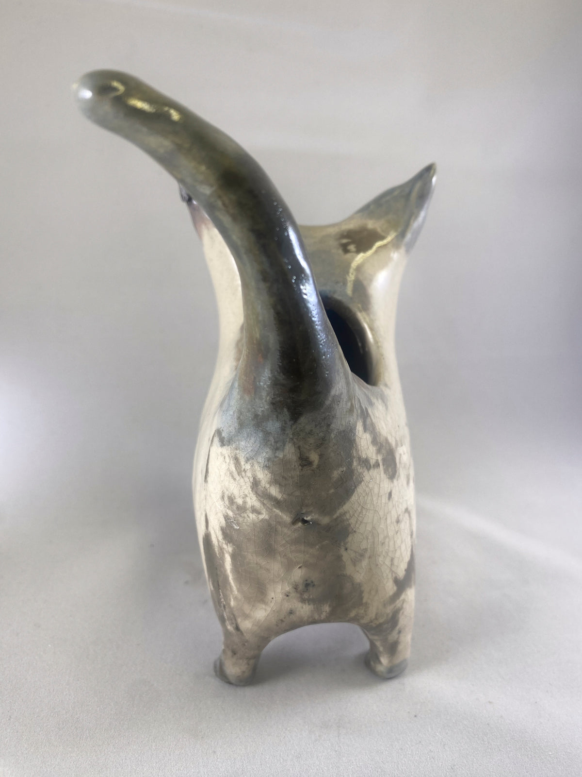 Silvertip Cat