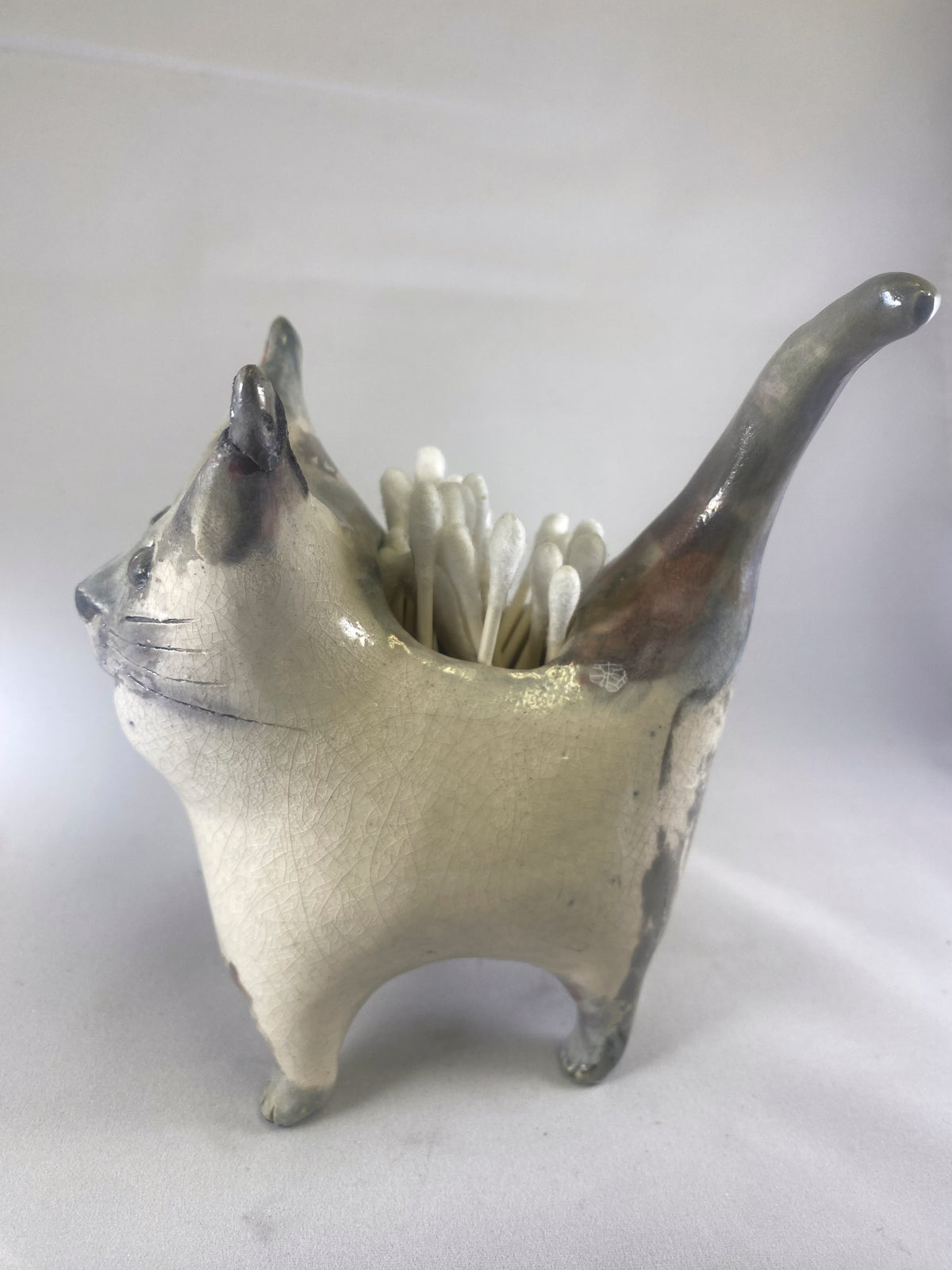 Silvertip Cat