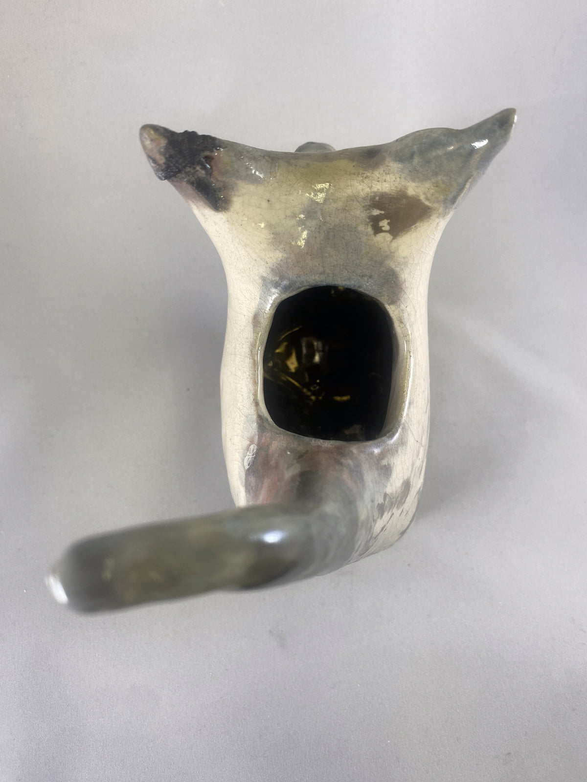 Silvertip Cat