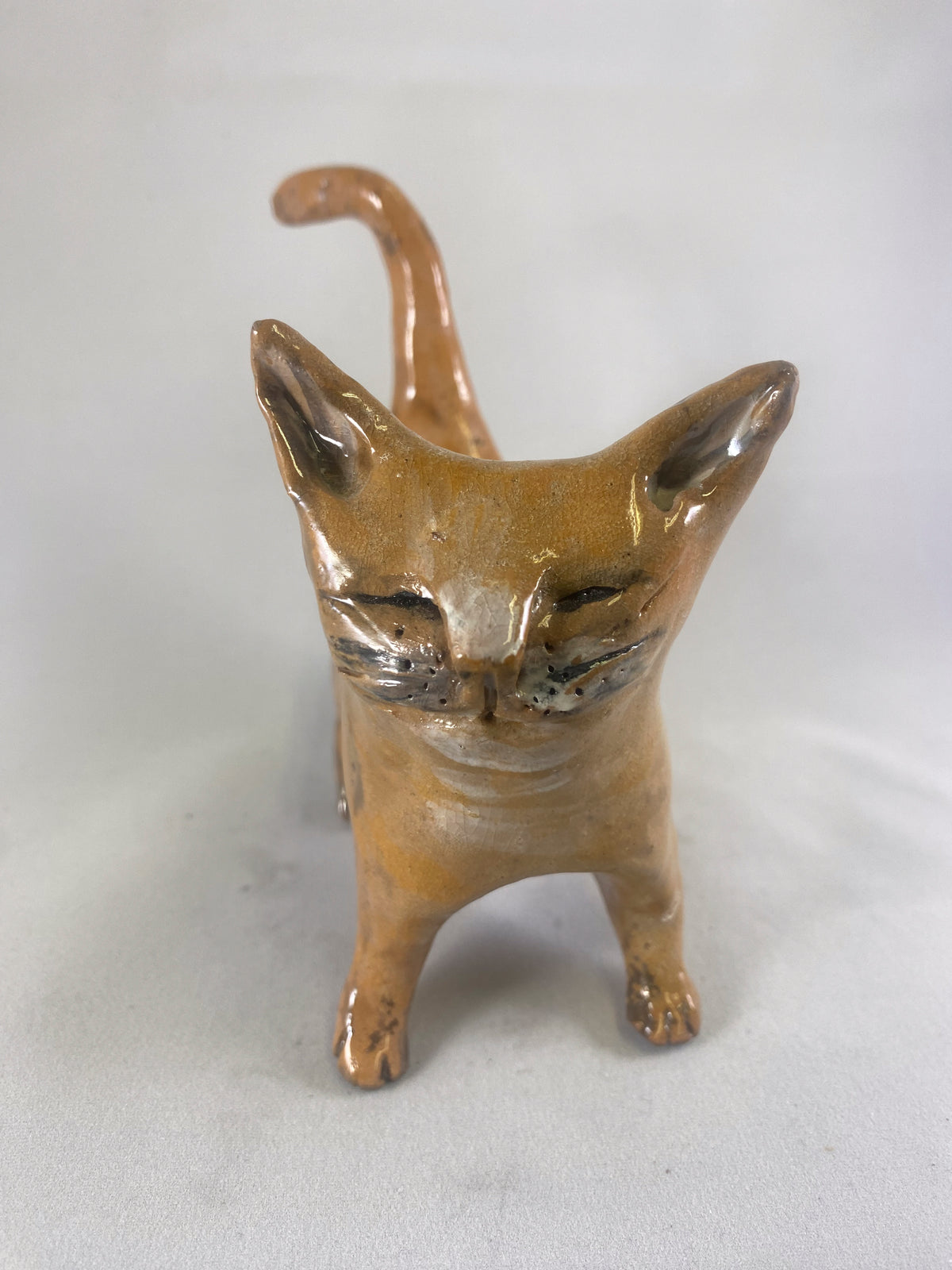 Small Cat