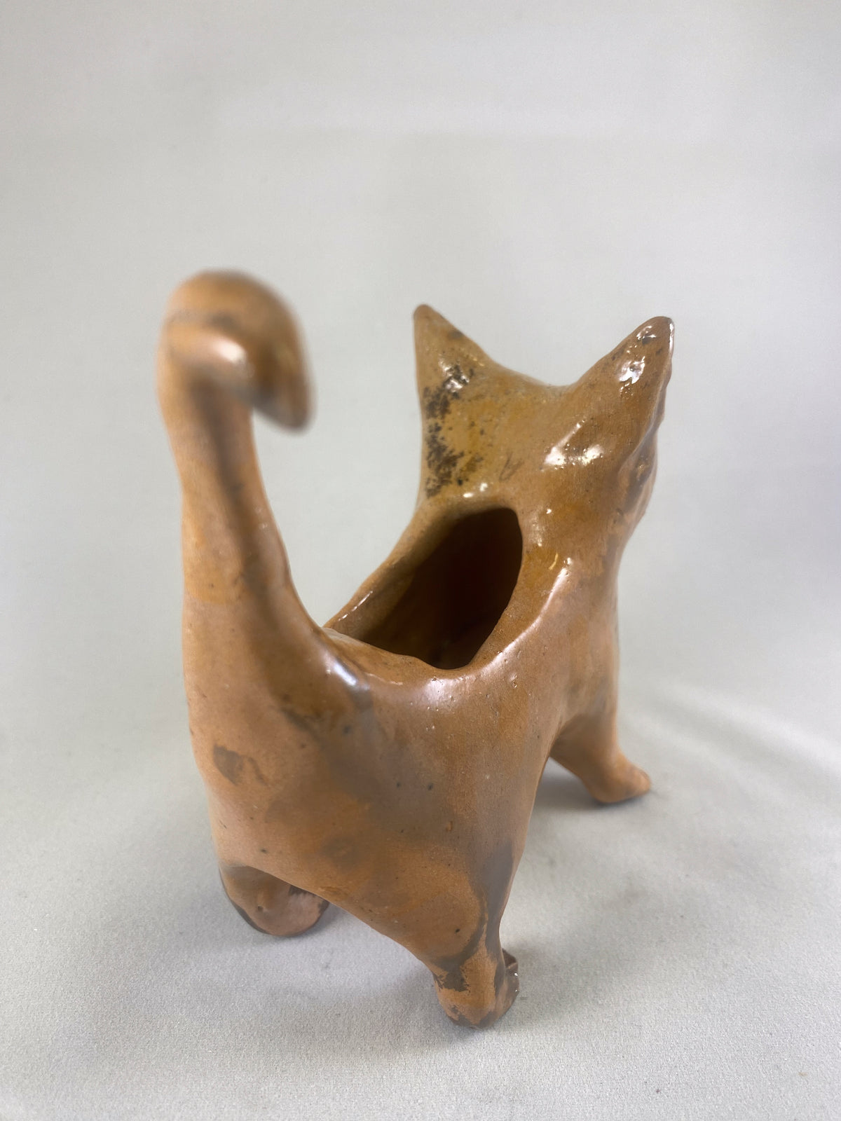 Small Cat