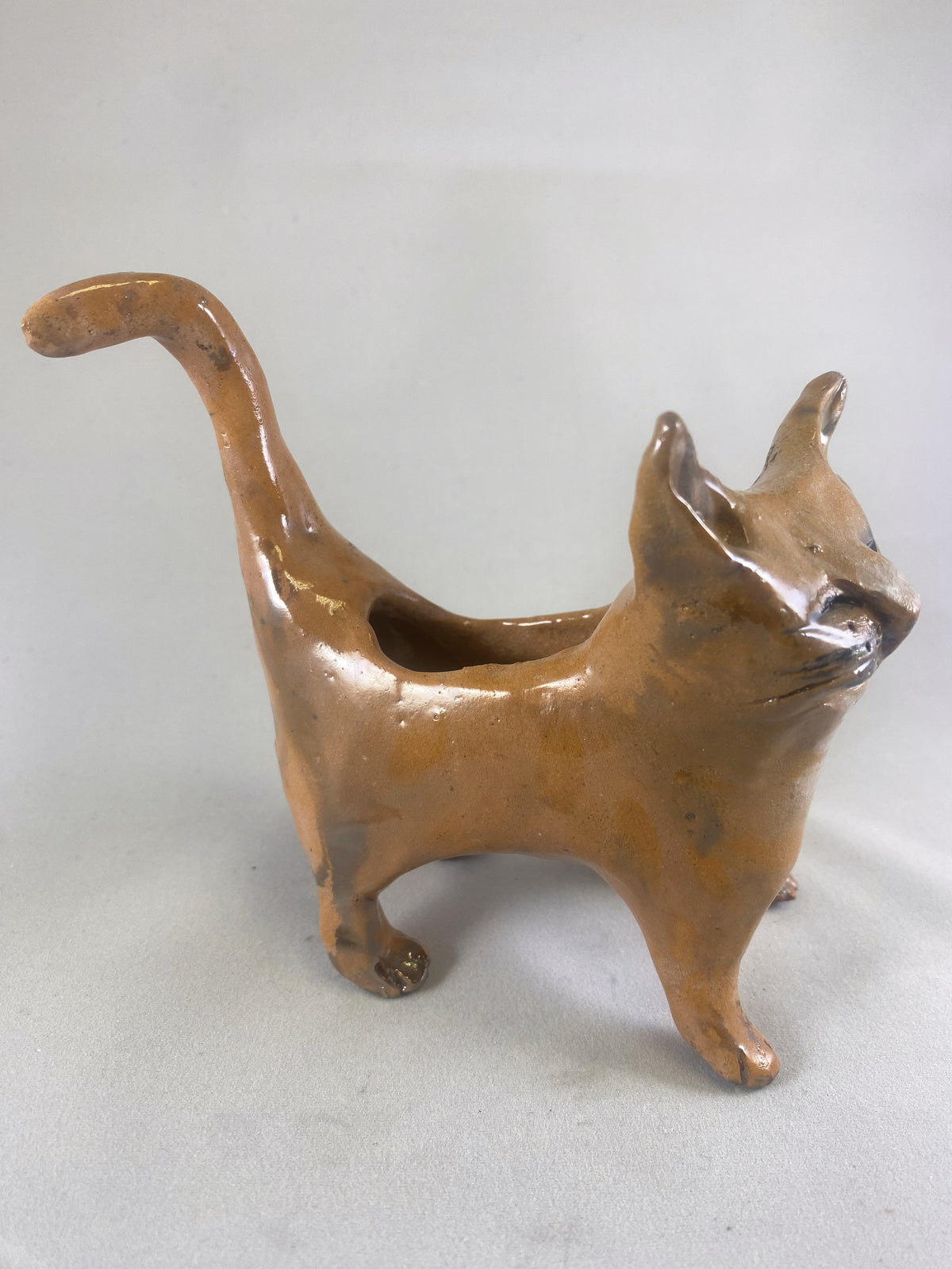 Small Cat